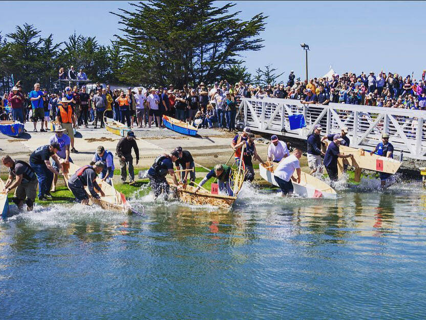 Appreciating the Fisherman’s Festival, removing ice plant, and a Bodega