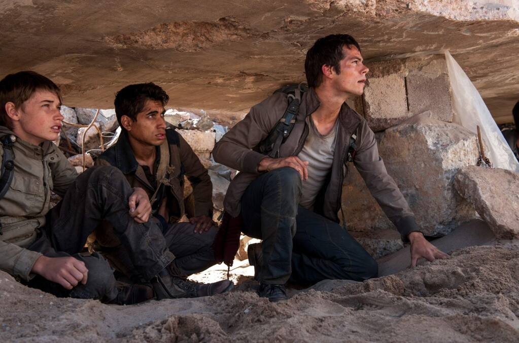 Fact File: Thomas (from The Maze Runner) (I just realised he doesn