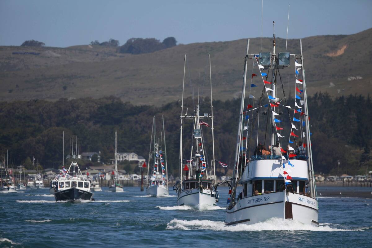 Bodega Bay Fisherman’s Festival celebrates, blesses a busy fleet