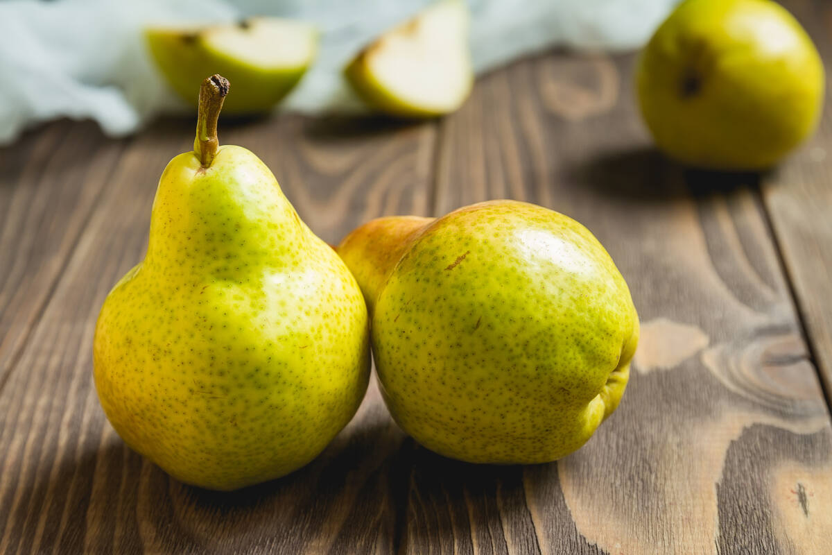 Red Comice Pears Information and Facts