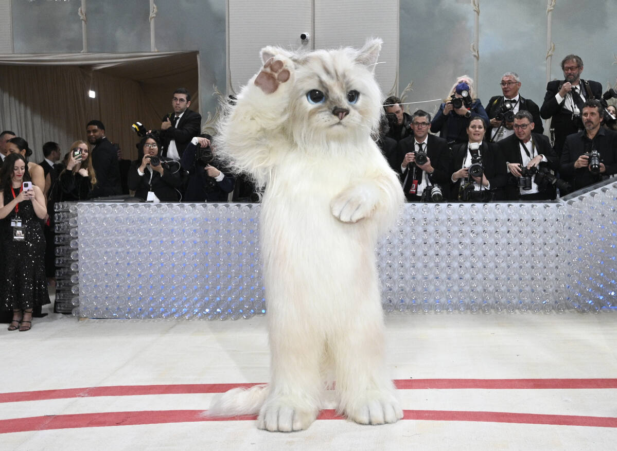 Inside the Met Gala A furry feline star, a tardy Cinderella