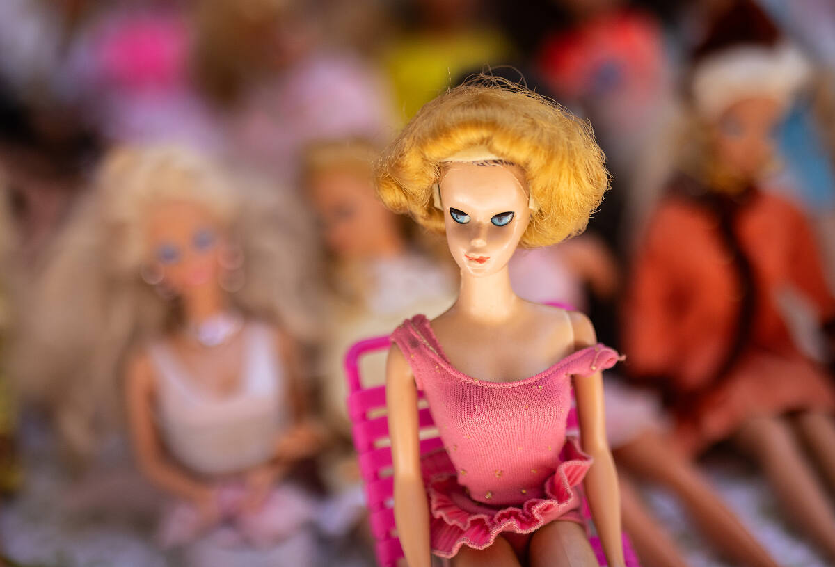 Partytime Barbie 1978  Barbie booklet, Barbie friends, Barbie toys