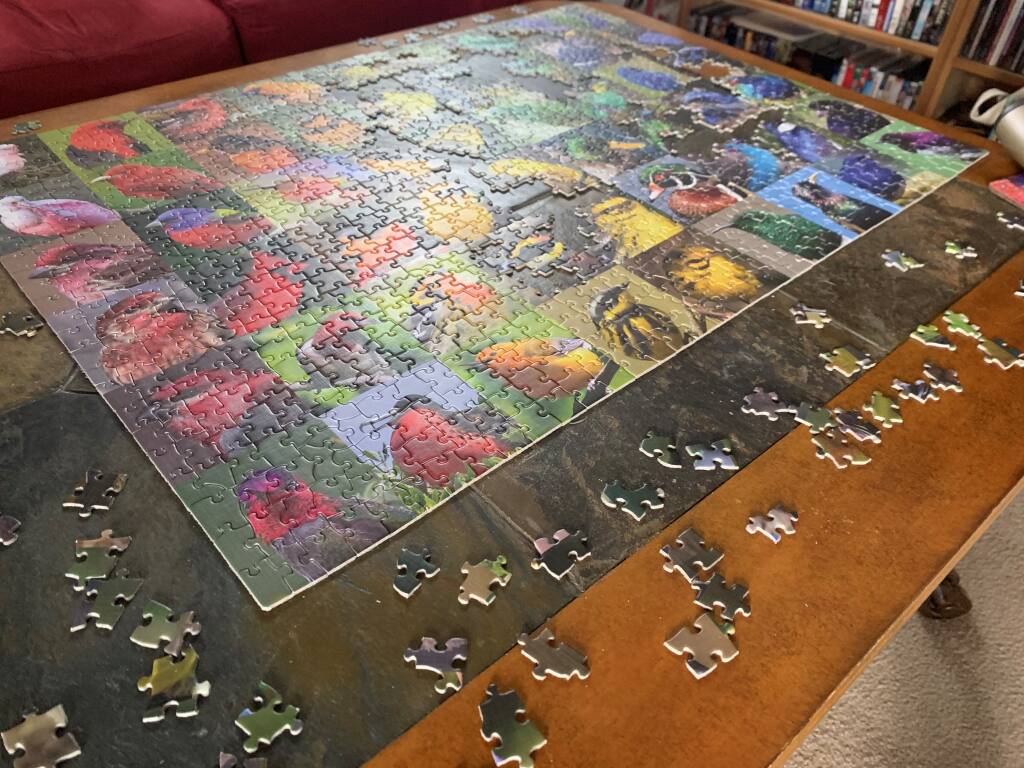 This Clear Jigzaw Puzzle Will Distract You for Days