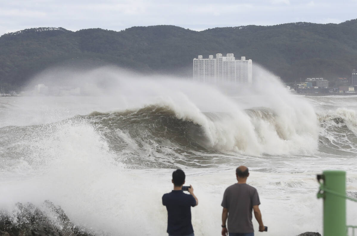 The POSCO plant in South Korea was affected by typhoon Hinnamnor - Steel  News