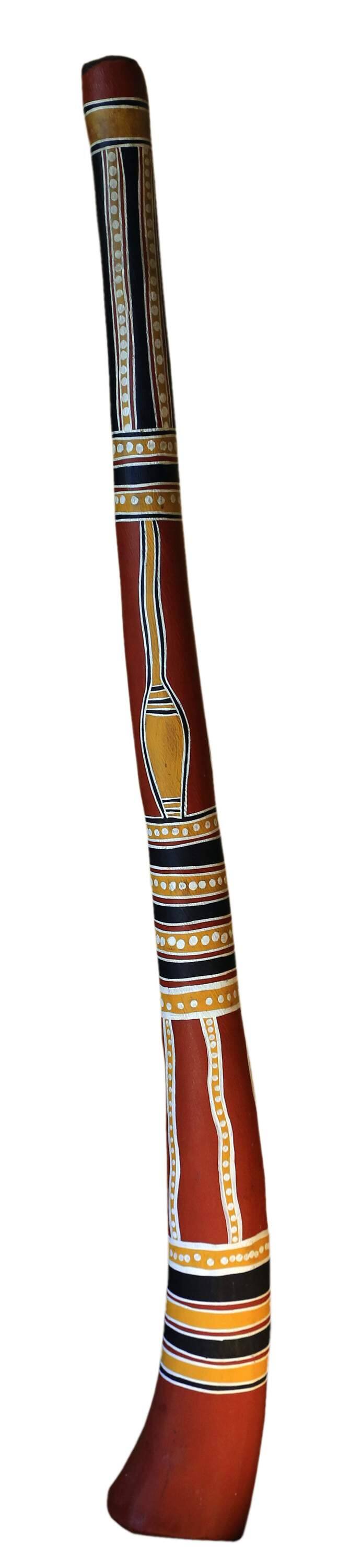 You Built What?! The Electronic Didgeridoo