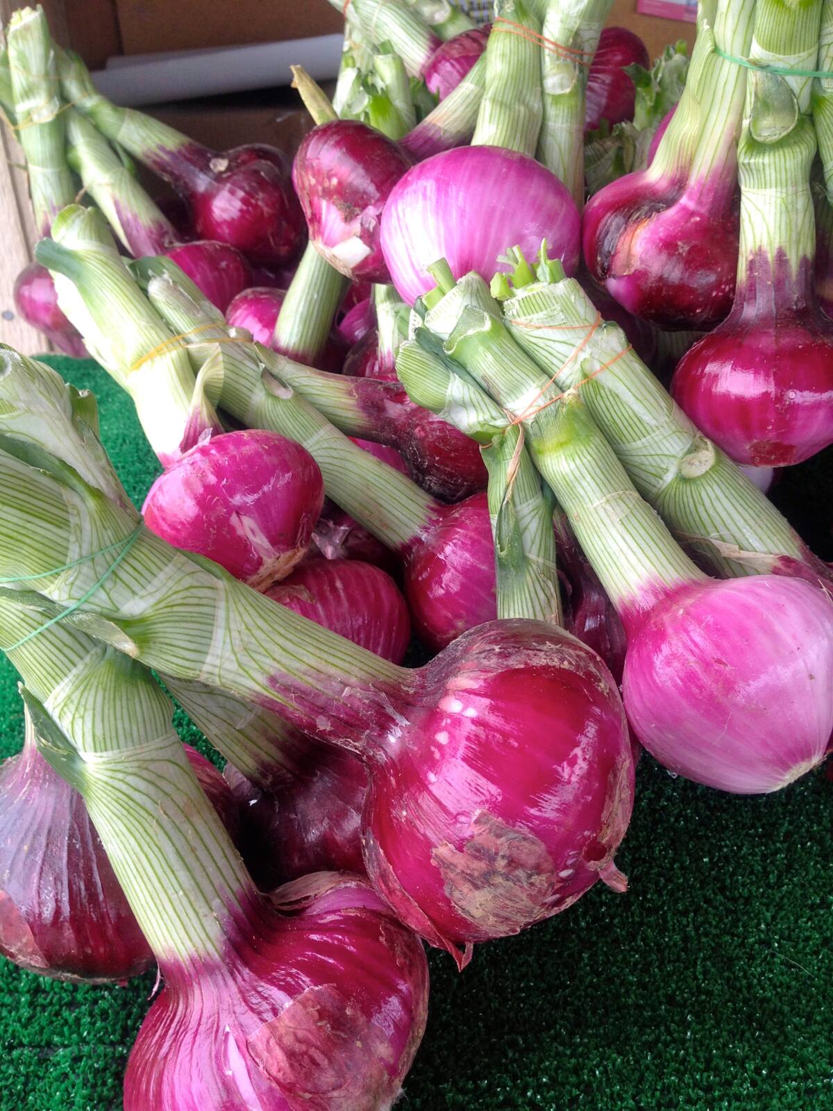 Onion Blossom Maker (No Corer), 1 - Kroger