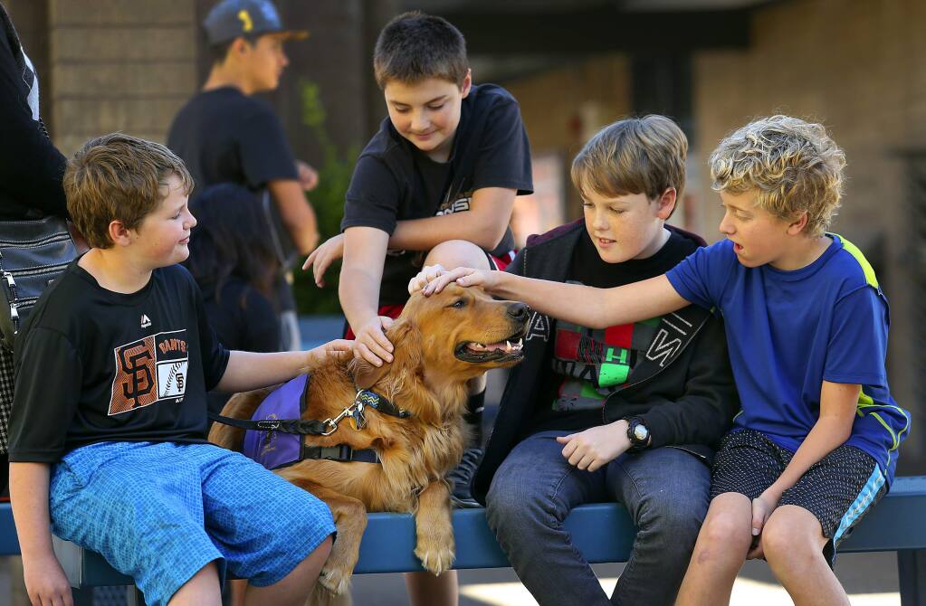 Amazing moment when boy meets his service dog