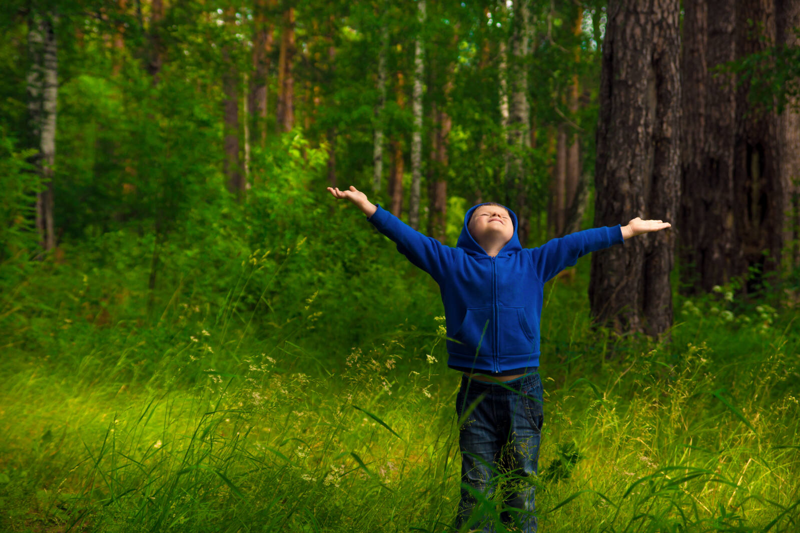 Удивление в лесу. Свежий воздух в лесу. Чистый воздух в лесу. Человек в лесу. Люди радуются лесу.