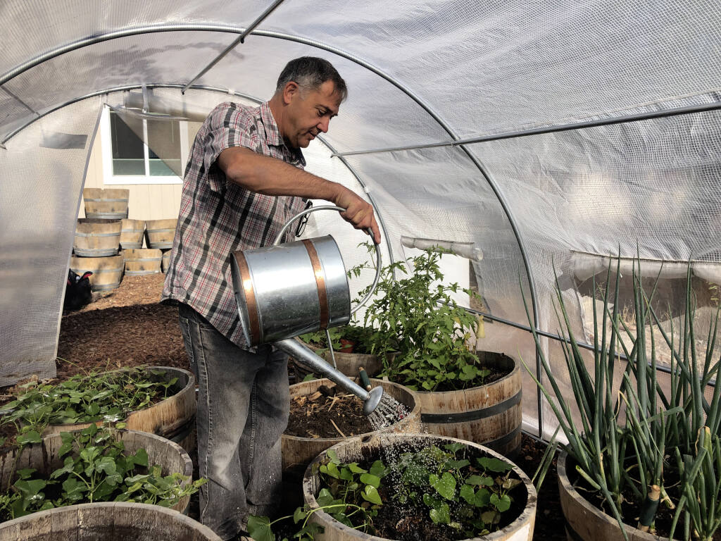 Don Johnson waters plants in his greenhouse using water from his air-to-water system installed by Ted Bowman, a design engineer with Tsunami Products, in his backyard in Benicia, Calif., on Sept. 28, 2021. The recent invention can make water out of the air and in parched California, some homeowners are already buying the pricey devices. The air-to-water systems work like air conditioners by using coils to chill air, then collect water drops in a basin. (AP Photo/Haven Daily)