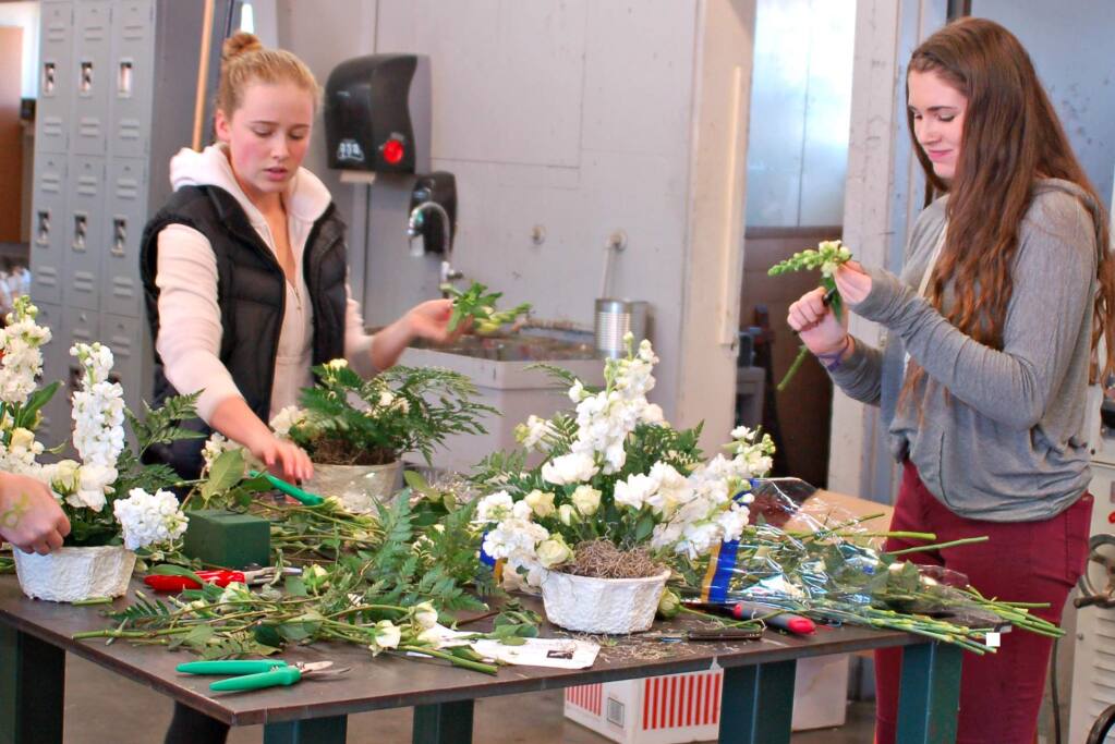 Featured image of post Floral Design Classes Dallas : Buy the freshest flowers from dr delphinium designs &amp; events!