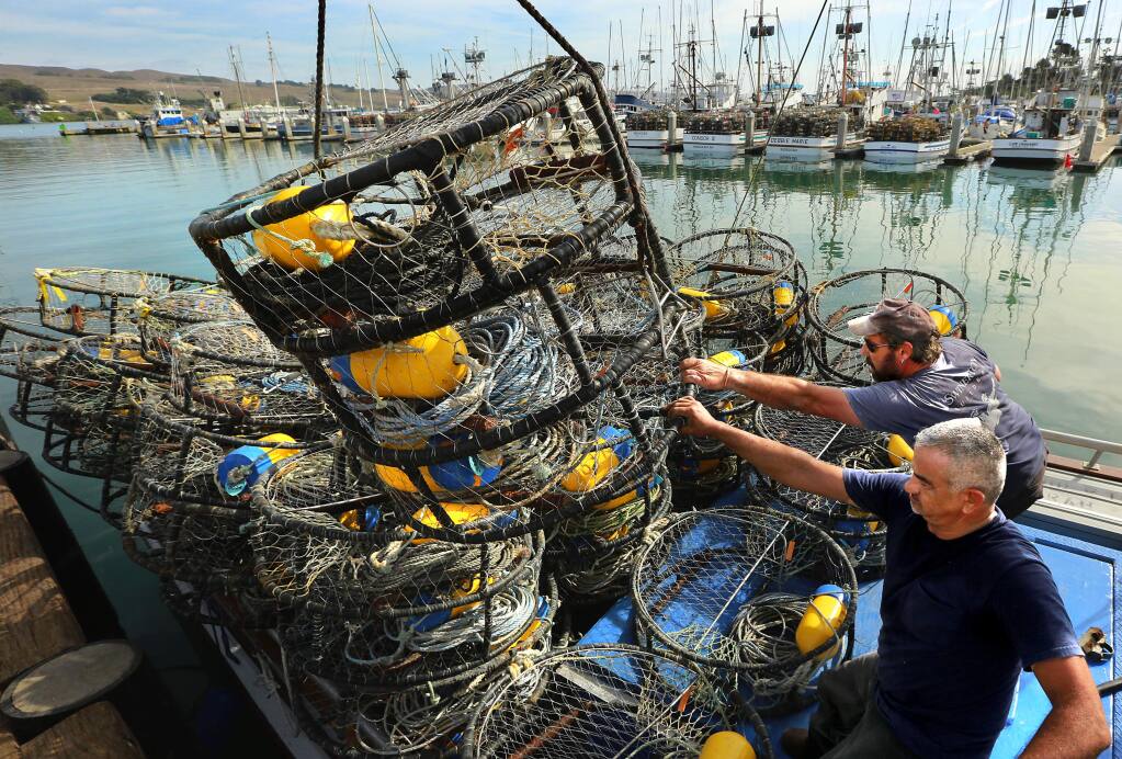 To save whales, Sen. McGuire promotes program to recover entangling  crabbing gear