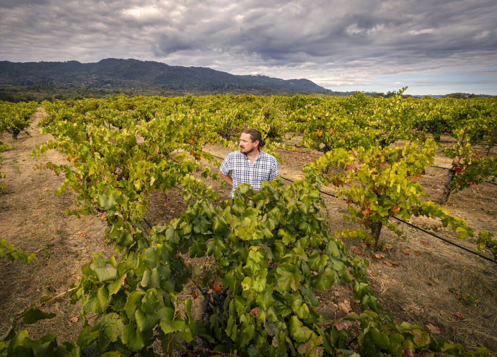 Lotta Vineyard - The Best Quality California Vineyard