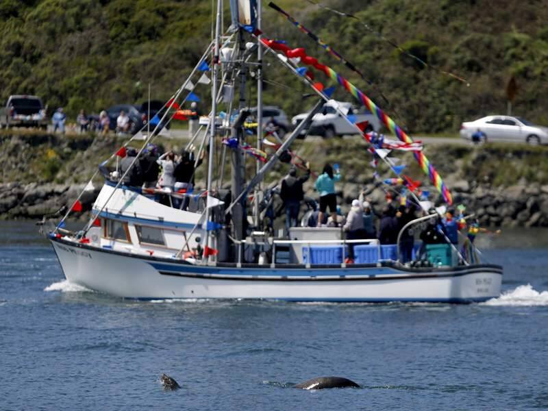 Bodega Bay honors fishing tradition at annual event