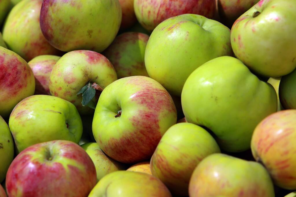 Paula Red Apple - The FruitGuys