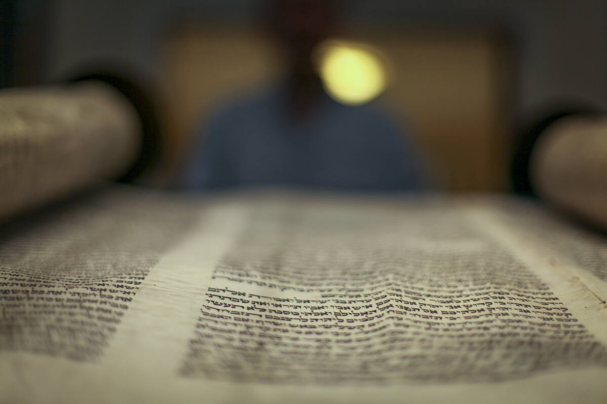 In Holland, a Torah scroll returns to Jewish hands 80 years after it was  hidden from the Nazis - Jewish Telegraphic Agency