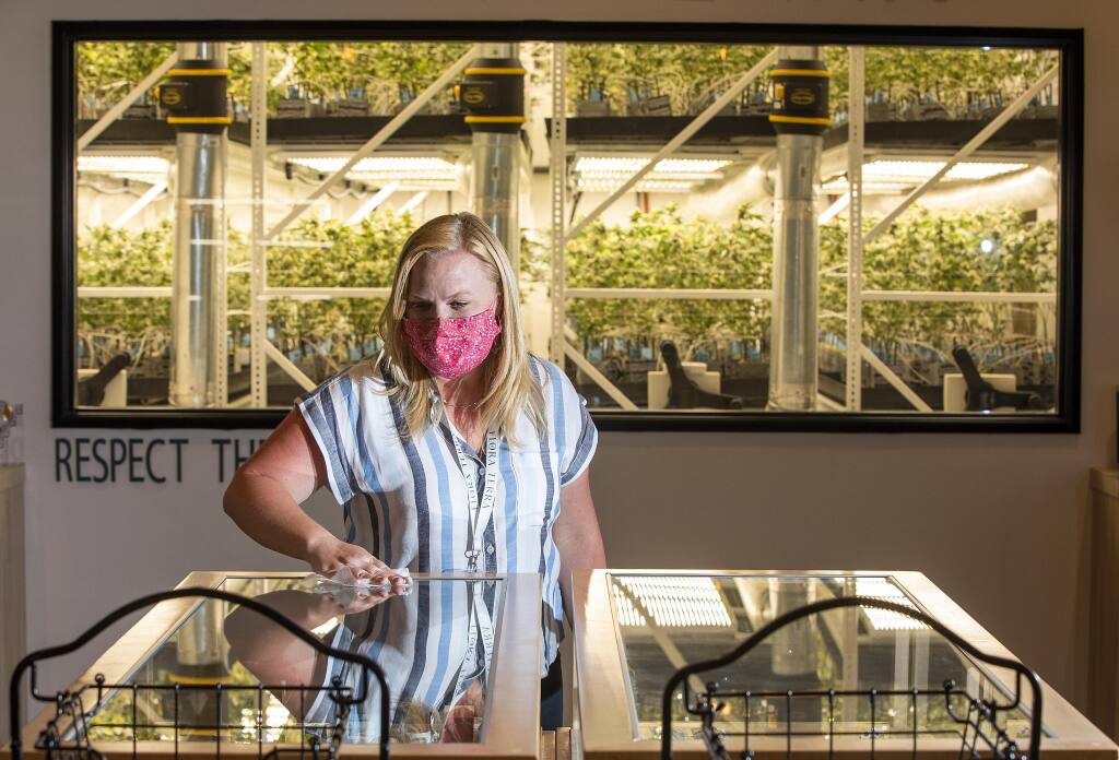 Flora Terra Dispensary owner Alicia Wingard cleans a  display case in the retail store at the Flora Terra Dispensary in Santa Rosa. Behind her visitors can look through a window into a high tech grow room.  (photo by John Burgess/The Press Democrat).).