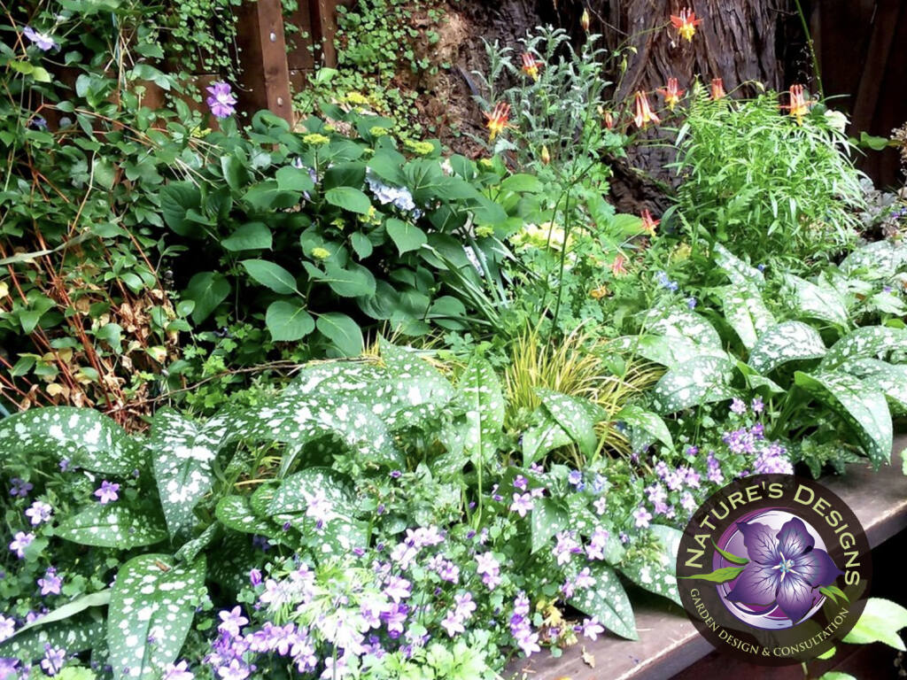 Garden Consultation — Grow With Mo: Edible Regenerative Garden