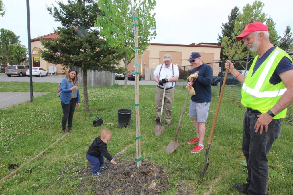 The Buzz: New trees in local parks, big honor for Radio Players