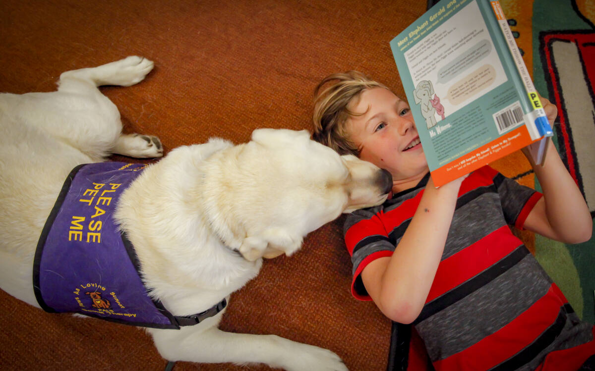 Welcome Back, Mr. Pickles — Grades K & up — Read to Our Therapy Dog -  Mamaroneck Public Library