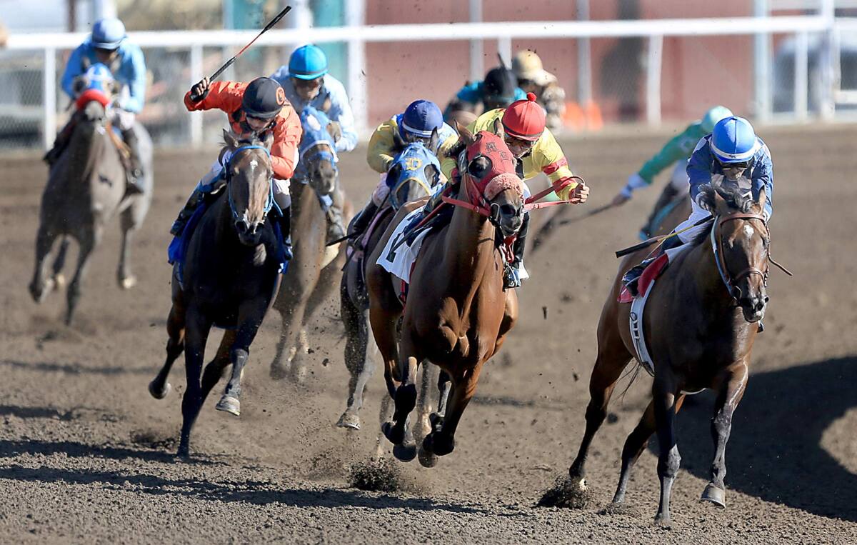 Horse racing to return to 2022 Sonoma County Fair