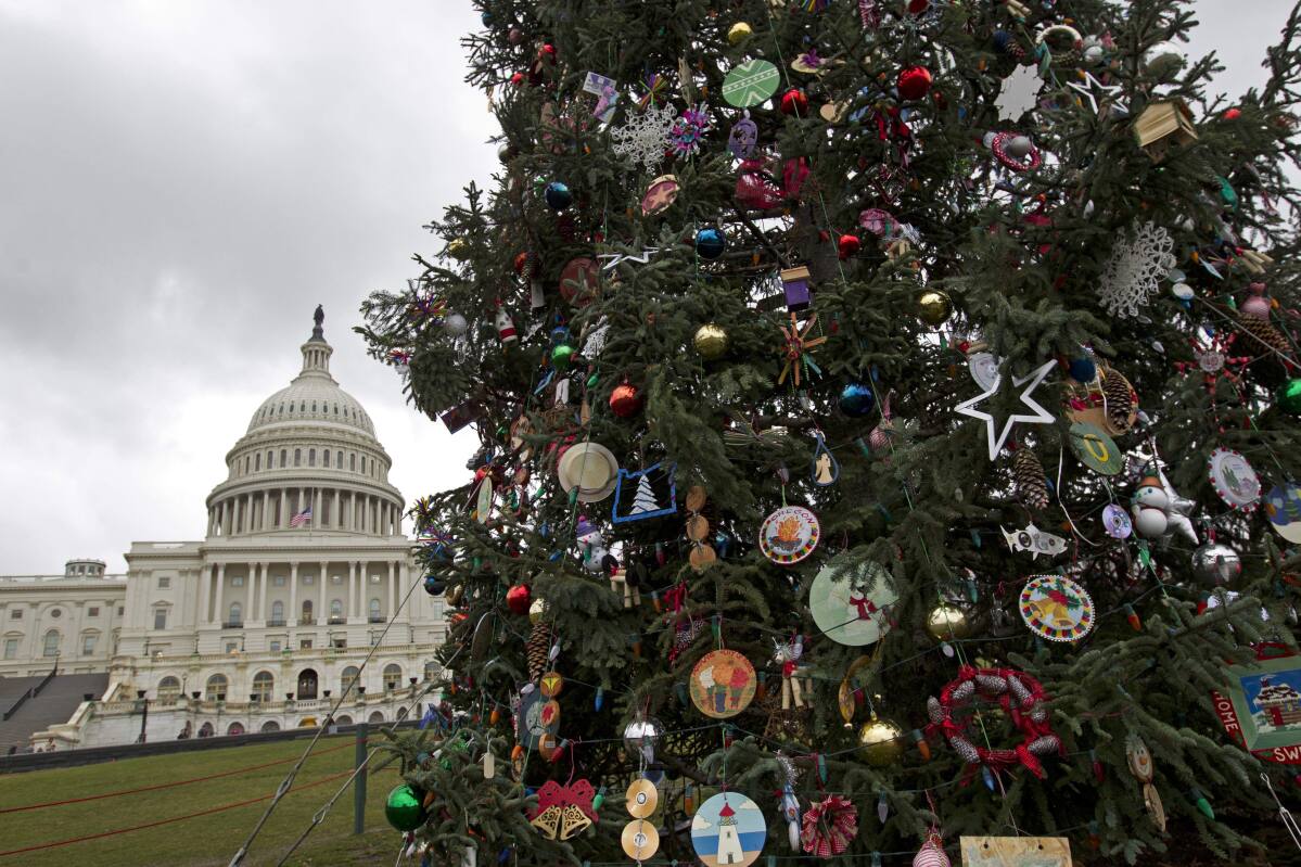 Capitol Christmas Tree coming to Ukiah