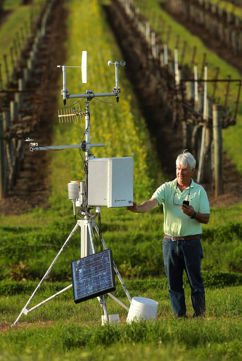 Grape Vineyard Weather Monitoring