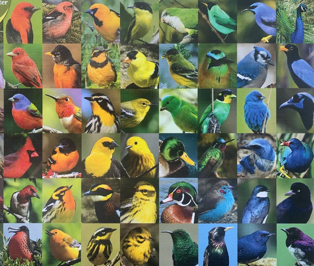 On Jigsaw Puzzles Building Birds And What Those Little Pieces Are Called