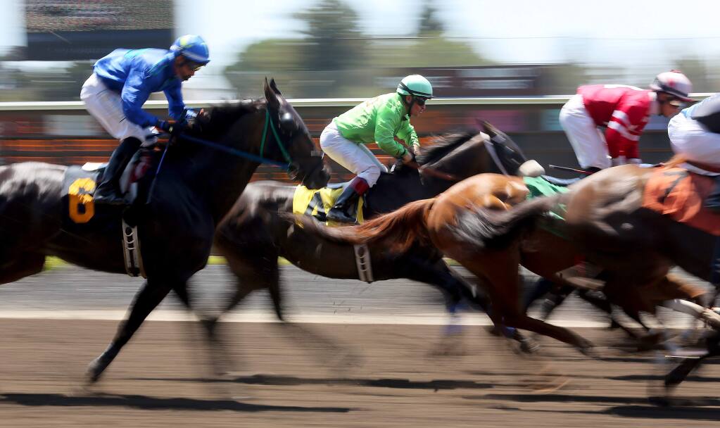 Trainer Racing horse euthanized at Sonoma County Fair track snapped ankle
