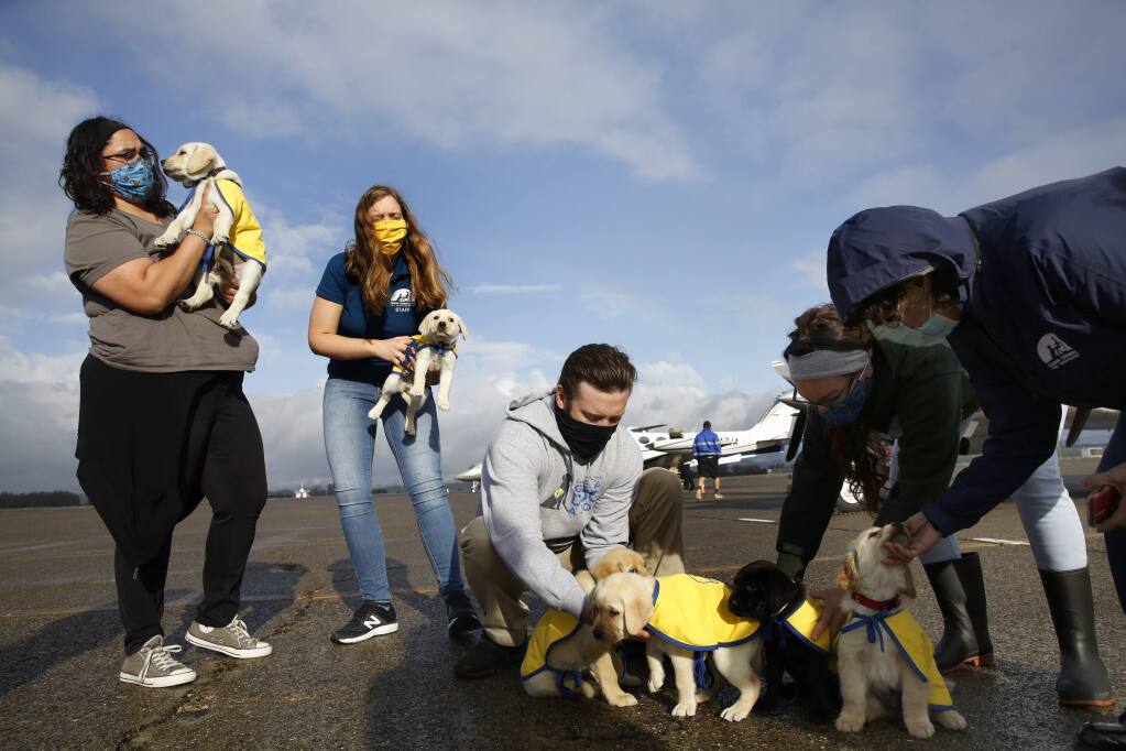 The Los Angeles Chargers have teamed up with Canine Companions for  Independence to follow a puppy named Bolt on his journey to becoming an  assistance dog.