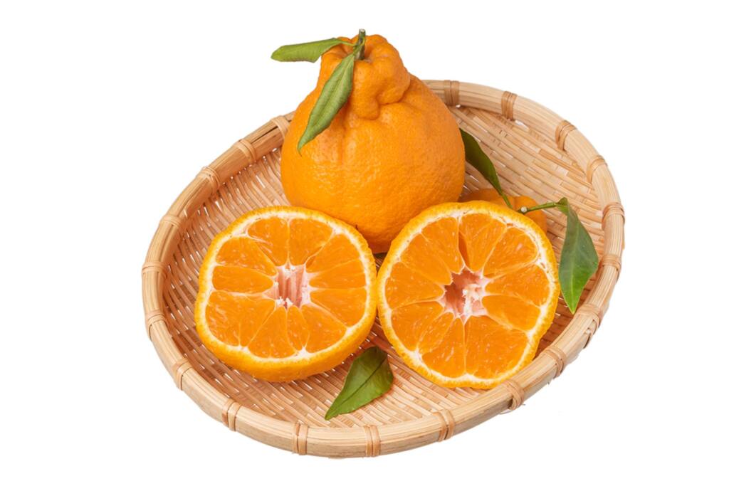 The Reason Sumo Citrus Oranges Are So Expensive