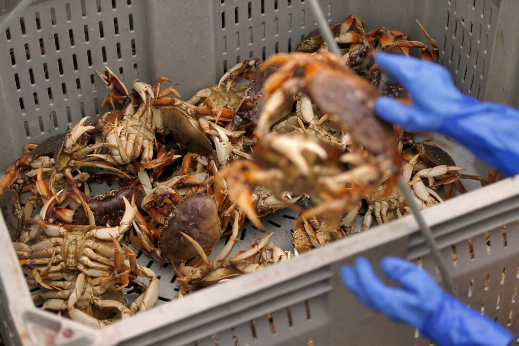 California's Dungeness crab season to end early after settlement over whale  entanglements