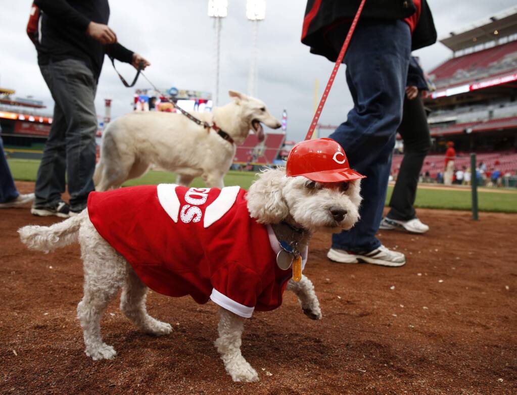 Reds vs. Padres Bark in the Park