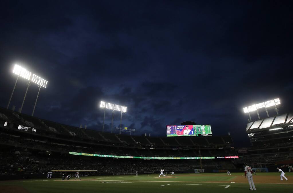 Humans Out, Cats In at Oakland A's Ballpark