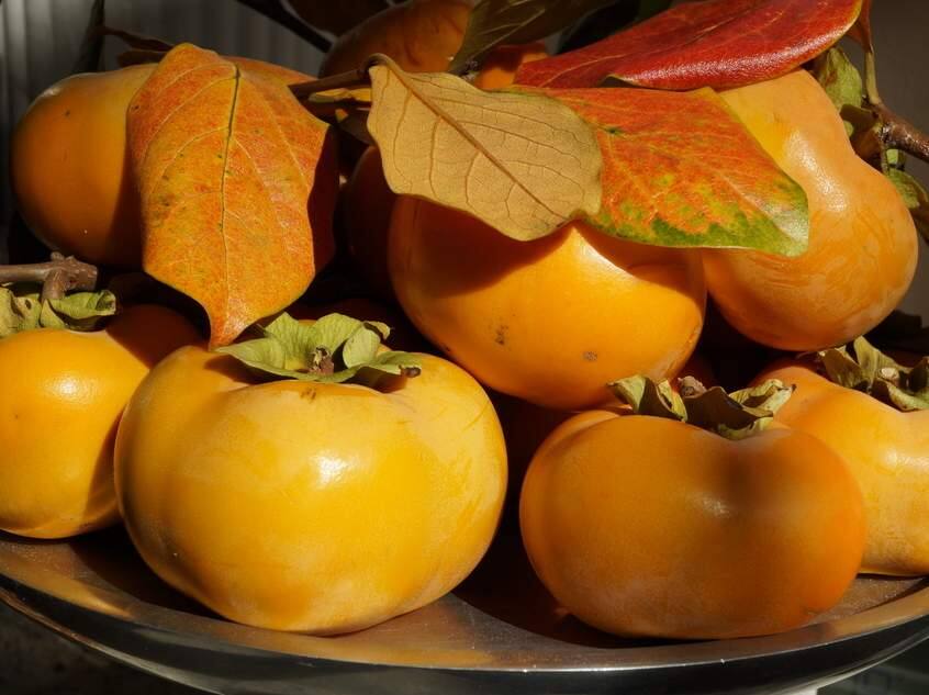 Persimmon Season: What Makes this Orange Fruit Special