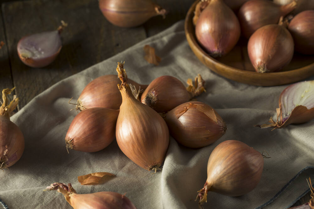 Shallot Substitutes - What to use When you Don't Have Time To Shop?