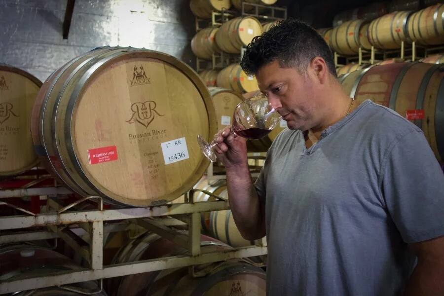 What a winemaker does in the winery?