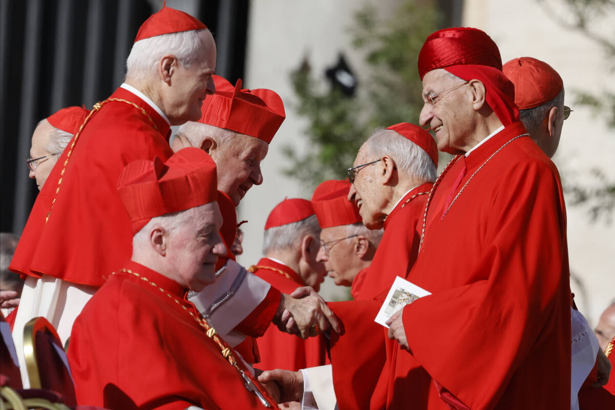 Pope Francis creates 21 new cardinals who will help him to reform the  church and cement his legacy