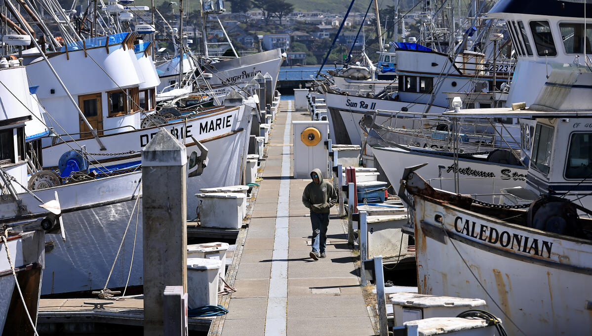 California's ocean salmon fishing season closed for second year in