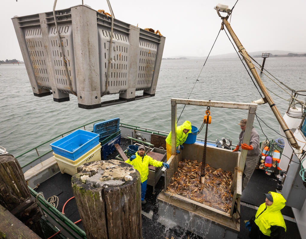 Dungeness crab season gets underway amid hope for relief in commercial  fishing fleet - The Press Democrat