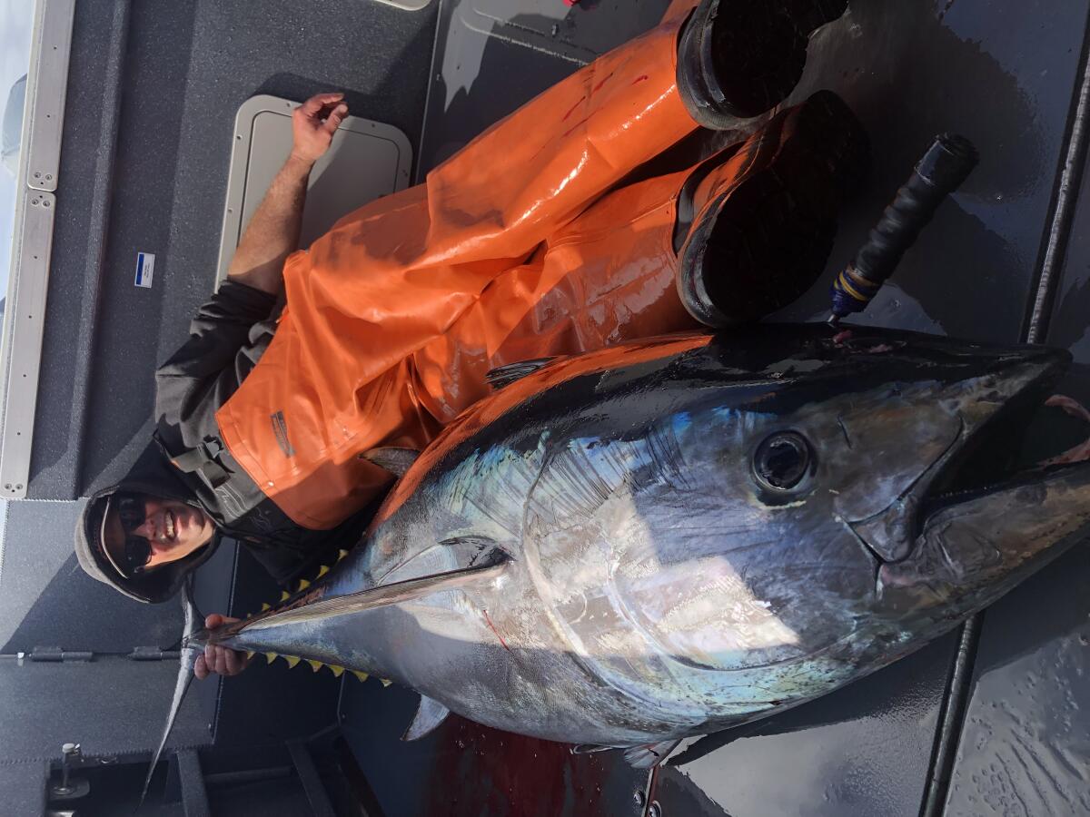 Bobby Lambe 431lb Pound Bluefin Tuna Bermuda, April 22 2018-2-5