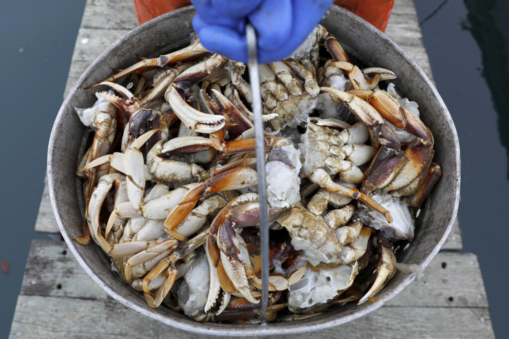 Commercial crab season to start along California North Coast on New Year's  Eve - The North Bay Business Journal