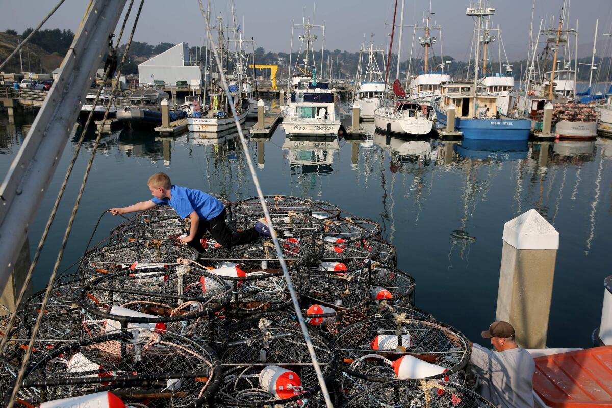 Federal aid finally on the way for Dungeness crab disaster