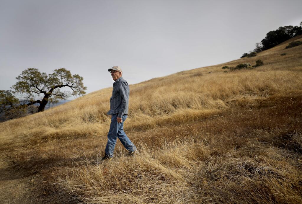 Sonoma Land Trust secures $14.5 million deal for Mayacamas Mountains ranch  eyed for parkland - The Press Democrat