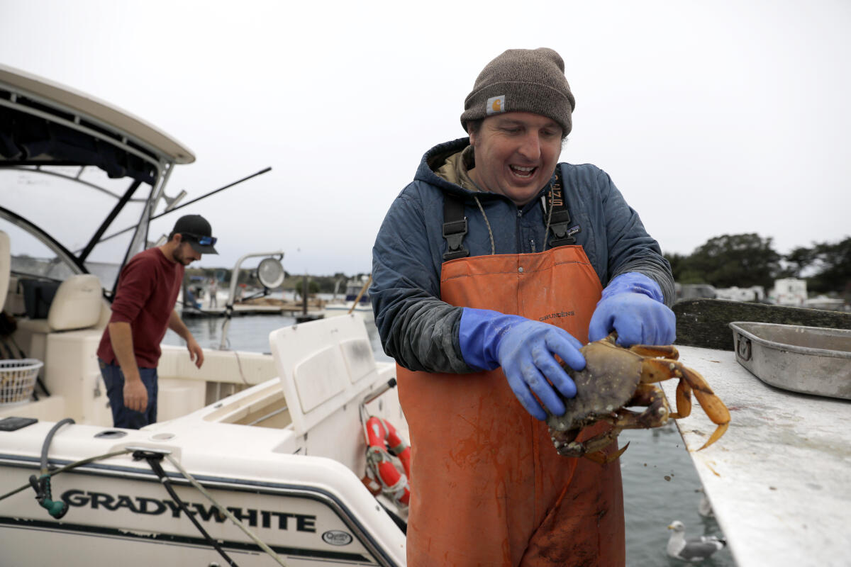 Commercial crab season to start along California North Coast on