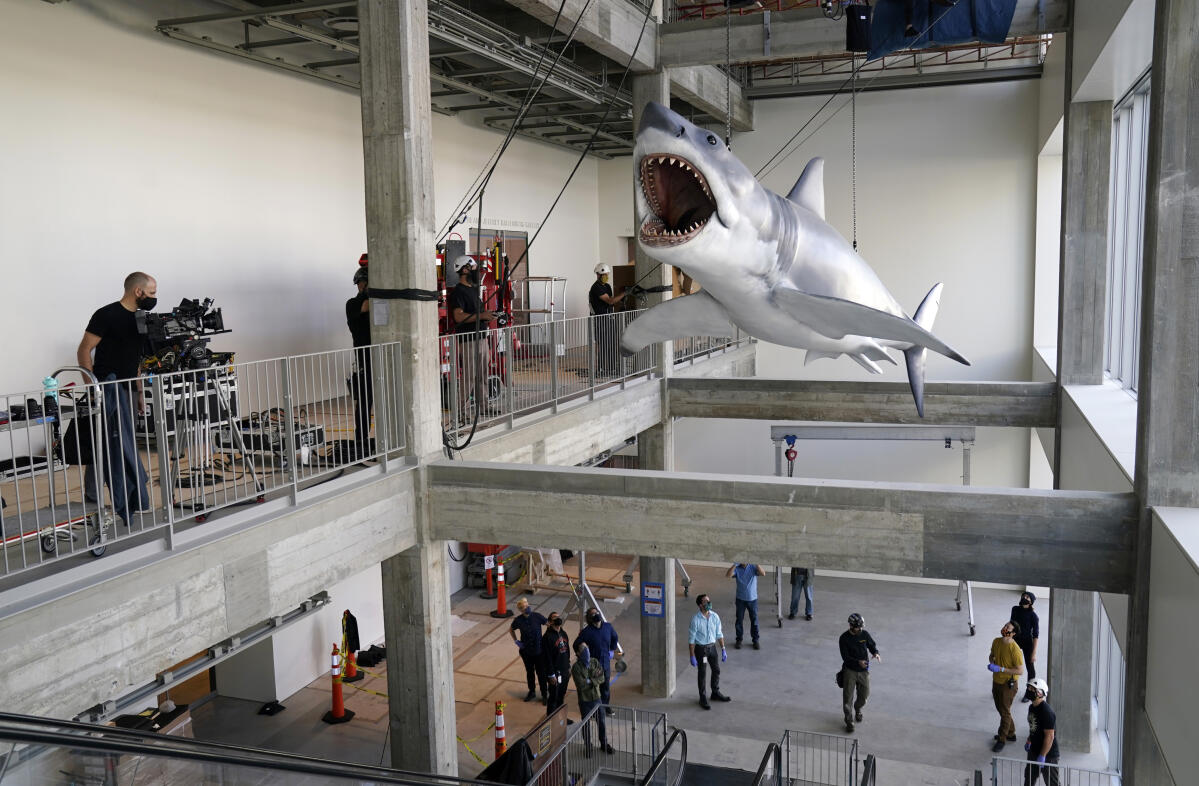 Jaws shark installed in the Academy Museum of Motion Pictures in
