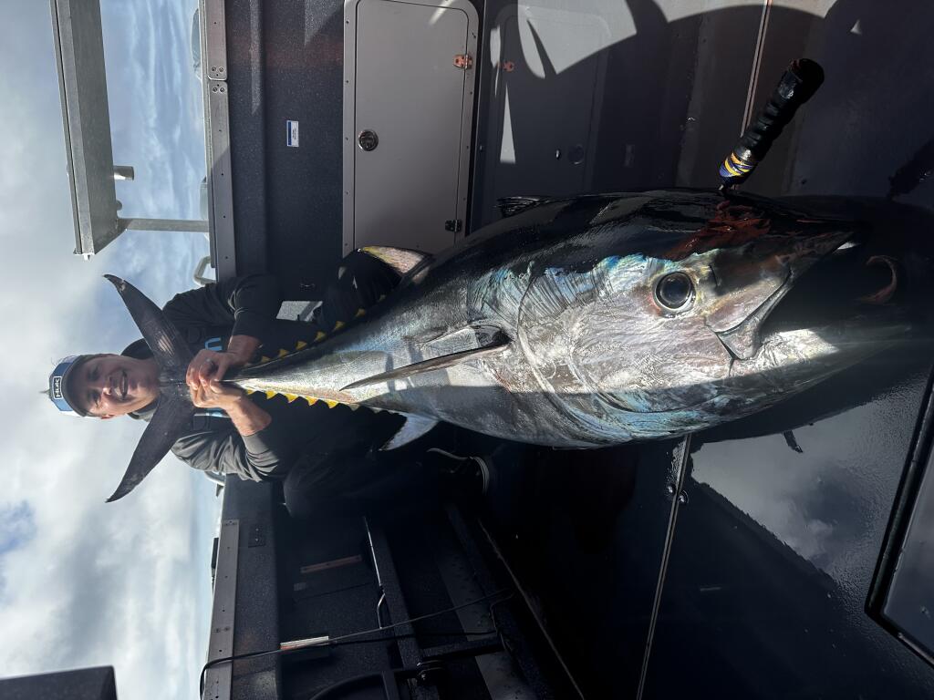 Padecky: Sonoma County men, friend reel in 228-pound bluefin tuna near  Farallon Islands - The Press Democrat