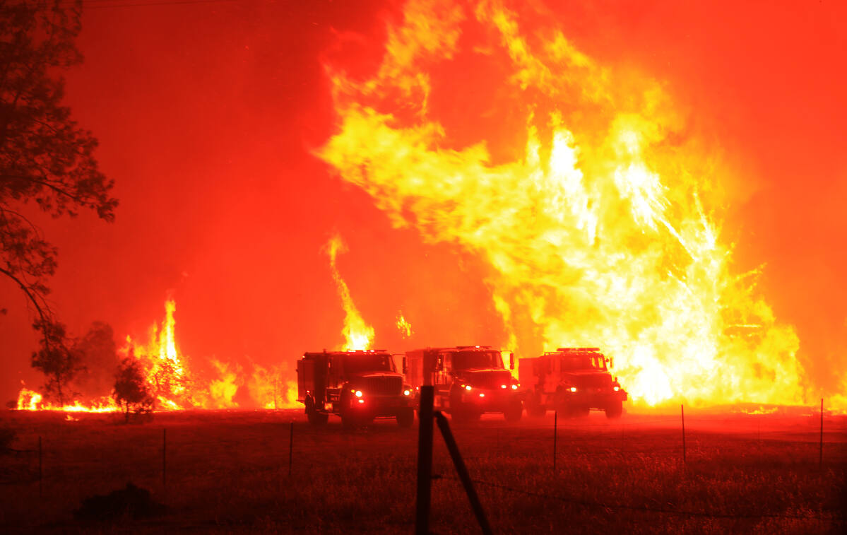 LNU Lightning Complex fire. In this photo, the Hennessey fire traps fire crews in an open turnout along Knoxville Berryessa Road on Aug. 19, 2020 as several fires merge together in the Lake Berryessa area of the LNU Lightning Complex.