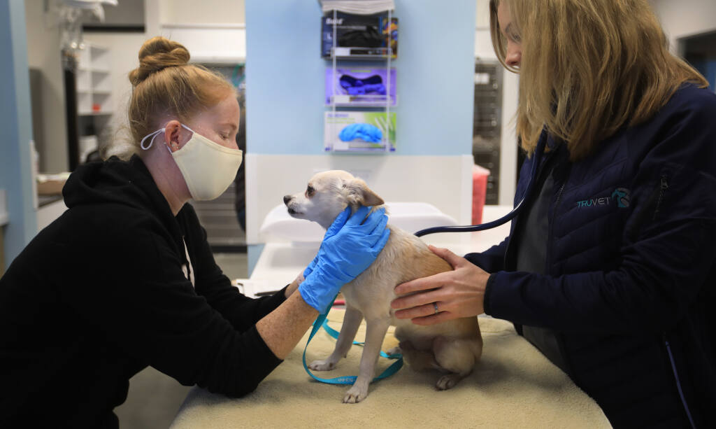 Responding to spike in pet needs, animal emergency hospital opens in  Petaluma
