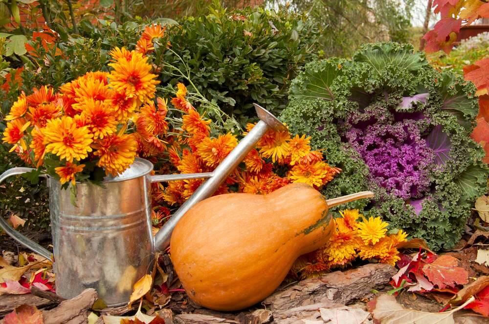 Late Fall Garden Refresh Is Worth The