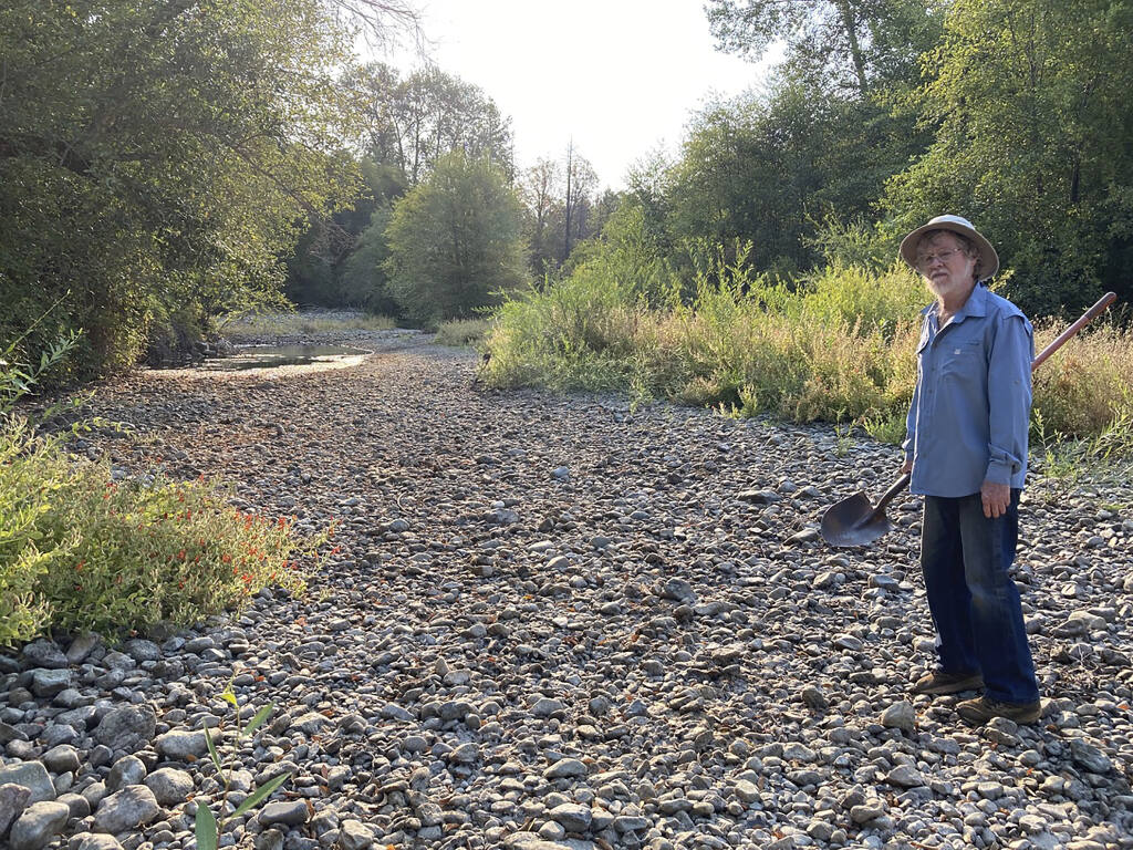 Jack Dwyer stands on the dry creek bed of Deer Creek in Selma, Ore. on Thursday, Sept. 2, 2021. In 1972, Dwyer pursued a dream of getting back to the land by moving to an idyllic, tree-studded parcel in Oregon with Deer Creek running through it. . But now, Deer Creek has become a dry creek bed after several illegal marijuana grows cropped up in the neighborhood last spring, stealing water from both the stream and aquifers and throwing Dwyer's future in doubt. (Carol Valentine via AP)